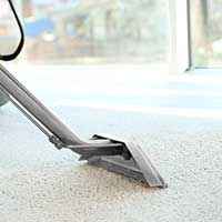 Carpet Cleaning